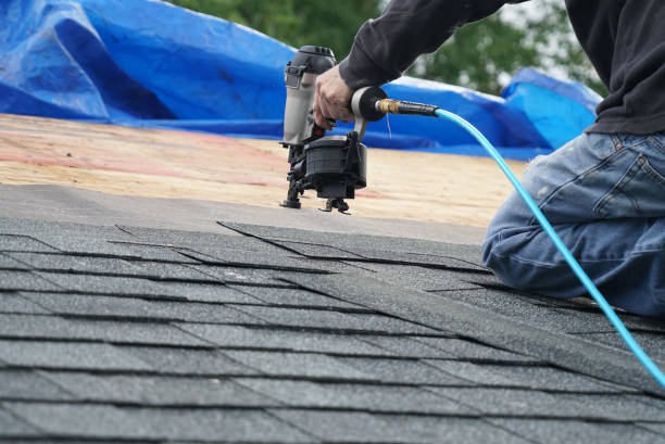 Best Roof Moss and Algae Removal  in Bret Harte, CA